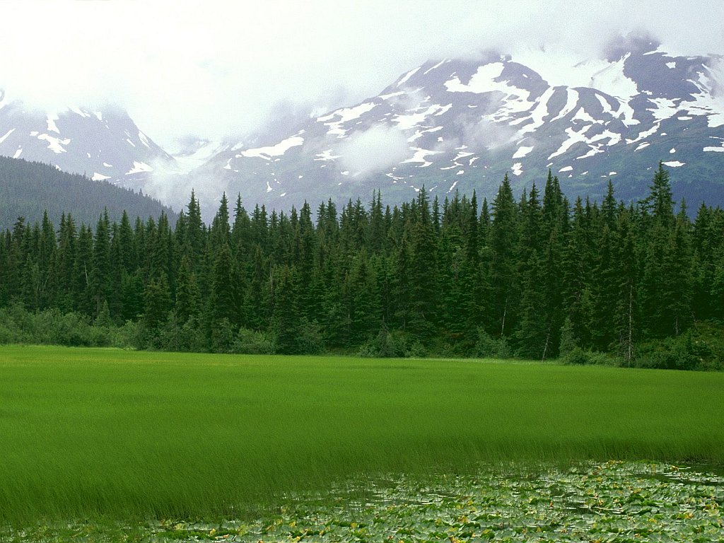 Greener Pastures, Moose Pass, Alaska